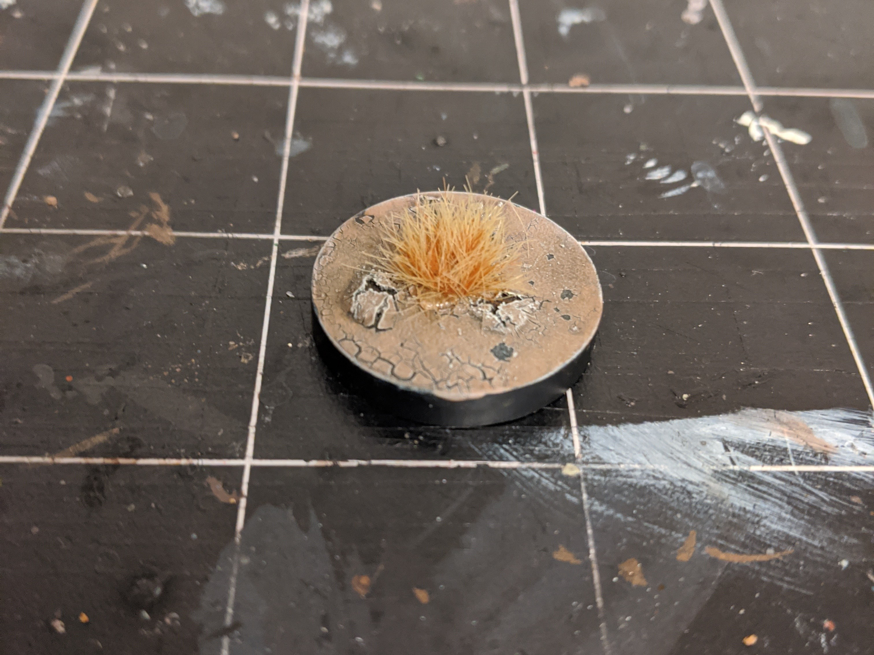 mvimg_20191207_201530